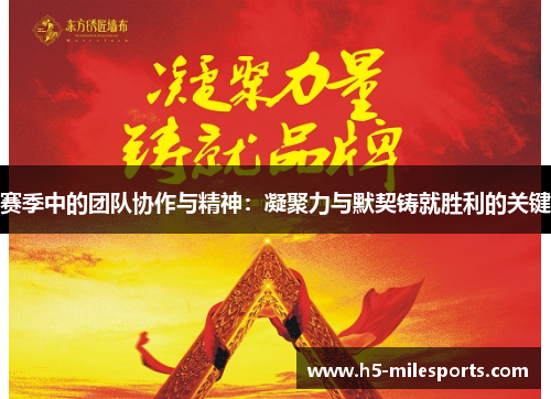 赛季中的团队协作与精神：凝聚力与默契铸就胜利的关键