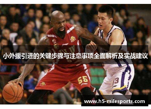 小外援引进的关键步骤与注意事项全面解析及实战建议
