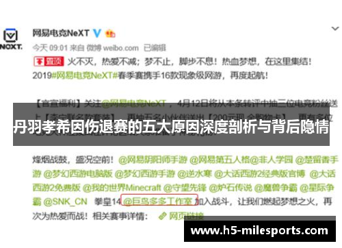 丹羽孝希因伤退赛的五大原因深度剖析与背后隐情